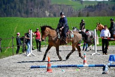 ref. photo 3090525