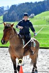 ref. photo 3090533