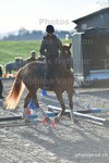 ref. photo 3090541