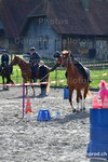 ref. photo 3090586