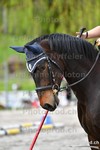 ref. photo 3090634