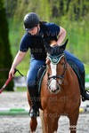ref. photo 3090731