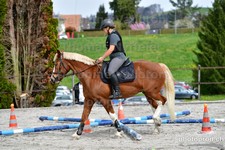 ref. photo 3090753