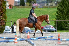 ref. photo 3090754