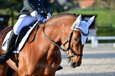 ref. photo 3090886