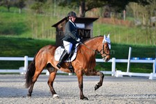 ref. photo 3090902