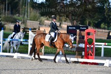 ref. photo 3090906