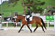 ref. photo 3090924