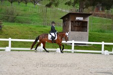 ref. photo 3090927