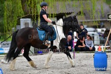 ref. photo 3090966