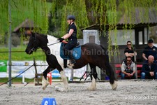 ref. photo 3090968