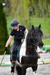 ref. photo 3090976