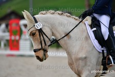 ref. photo 3090998