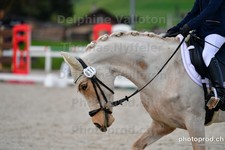 ref. photo 3091028