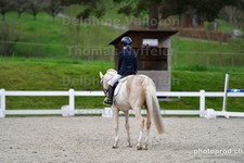 ref. photo 3091039