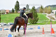 ref. photo 3091153