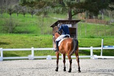 ref. photo 3091160