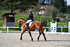 ref. photo 3091167