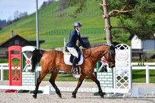 ref. photo 3091180