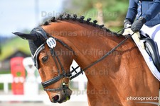 ref. photo 3091181