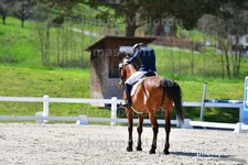 ref. photo 3091192