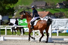 ref. photo 3091200