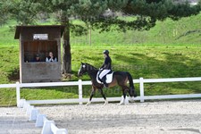 ref. photo 3091217