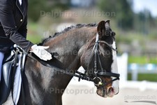 ref. photo 3091221