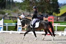 ref. photo 3091229