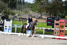 ref. photo 3091232