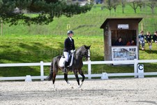 ref. photo 3091240