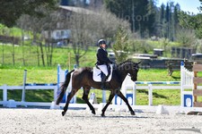 ref. photo 3091292