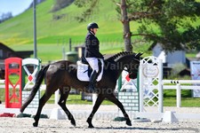 ref. photo 3091297