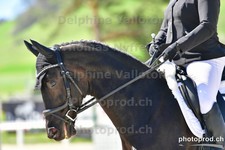 ref. photo 3091298