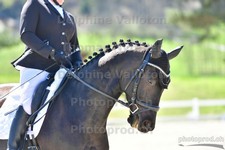 ref. photo 3091303