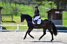 ref. photo 3091306