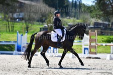 ref. photo 3091314