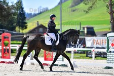 ref. photo 3091315