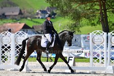 ref. photo 3091316