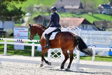 ref. photo 3091409