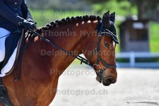 ref. photo 3091415