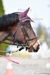 ref. photo 3091540
