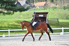 ref. photo 3091572