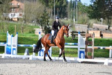 ref. photo 3091575