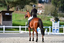 ref. photo 3091591
