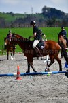 ref. photo 3091614