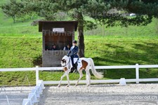 ref. photo 3091658