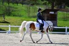 ref. photo 3091690