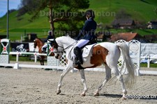 ref. photo 3091692
