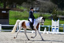 ref. photo 3091695